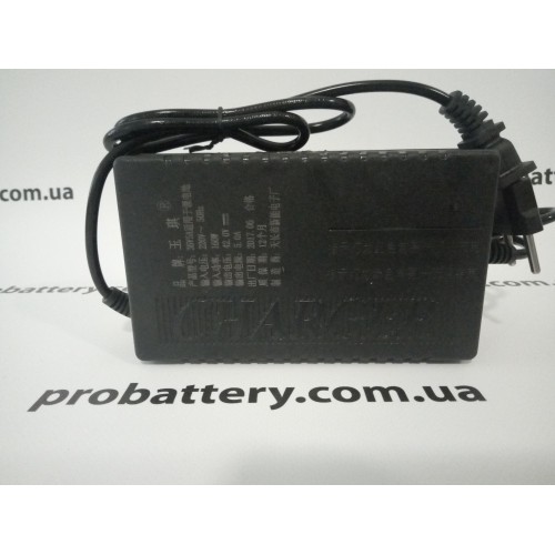 Зарядное устройство Li-ion 36V 5A (42V 5A) в интернет-магазине ProBattery.com.ua